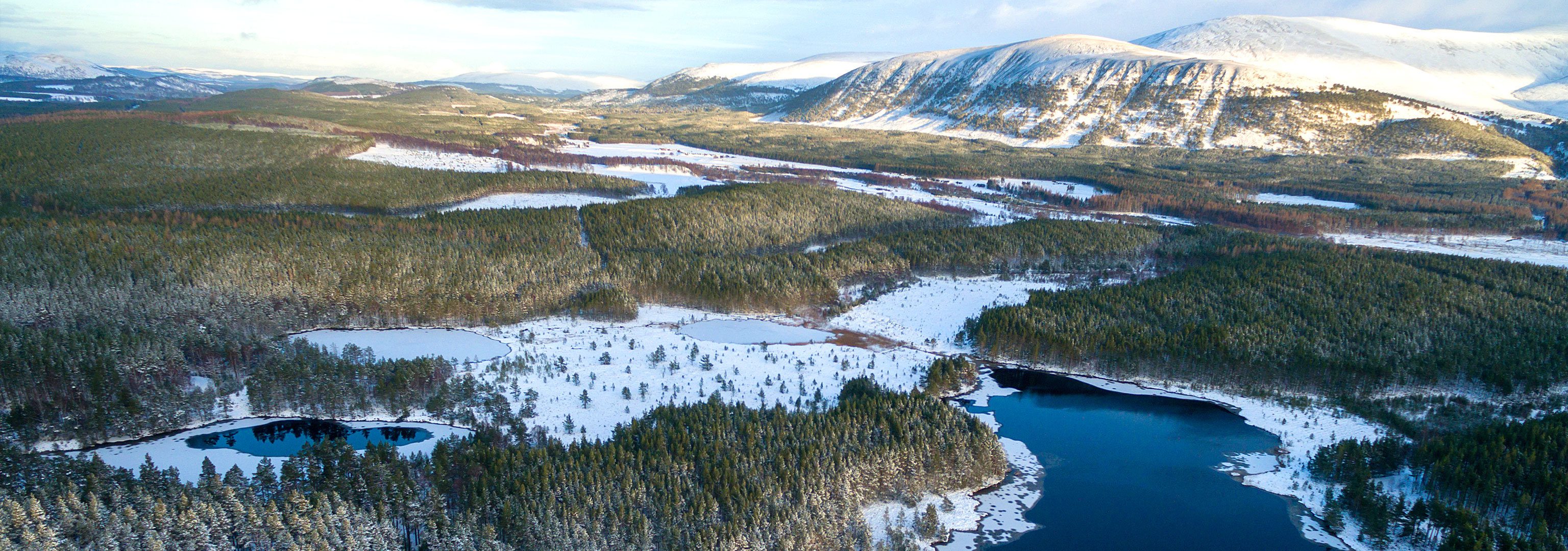 Cairngorms Connect – restoring 60,000 ha of contiguous land in the Scottish Highlands. Courtesy of James Shooter - scotlandbigpicture.com.