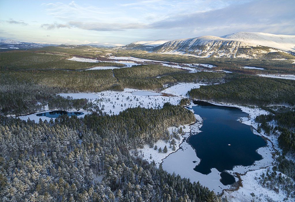 Cairngorms Connect – restoring 60,000 ha of contiguous land in the Scottish Highlands. Courtesy of James Shooter - scotlandbigpicture.com.
